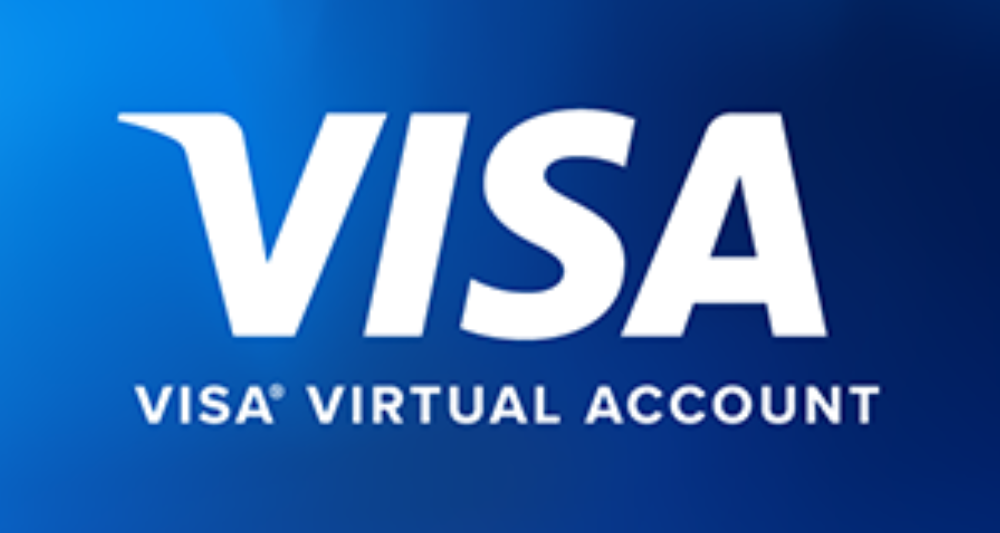 Visa Card (Global)